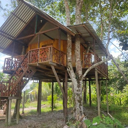 לטיסייה Hotel Karupa Amazonas מראה חיצוני תמונה