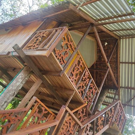 לטיסייה Hotel Karupa Amazonas מראה חיצוני תמונה