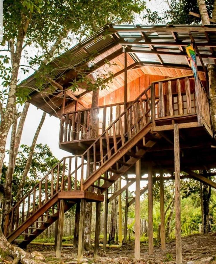 לטיסייה Hotel Karupa Amazonas מראה חיצוני תמונה