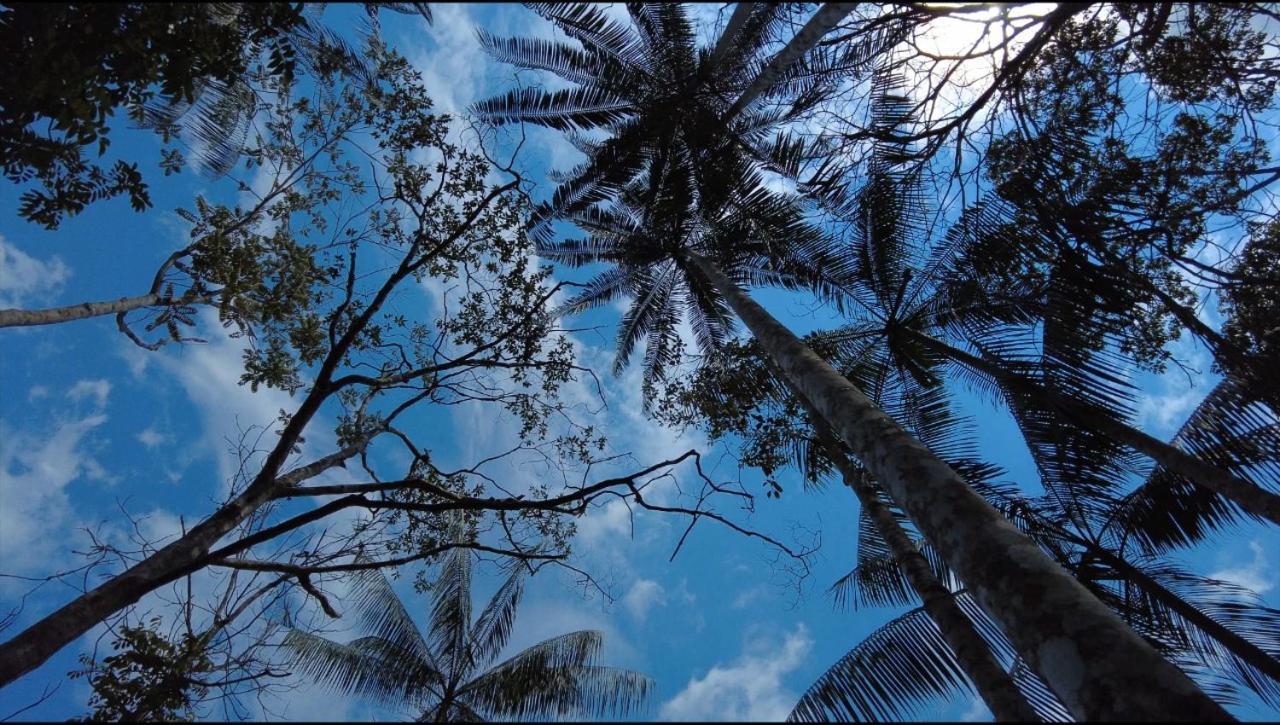 לטיסייה Hotel Karupa Amazonas מראה חיצוני תמונה