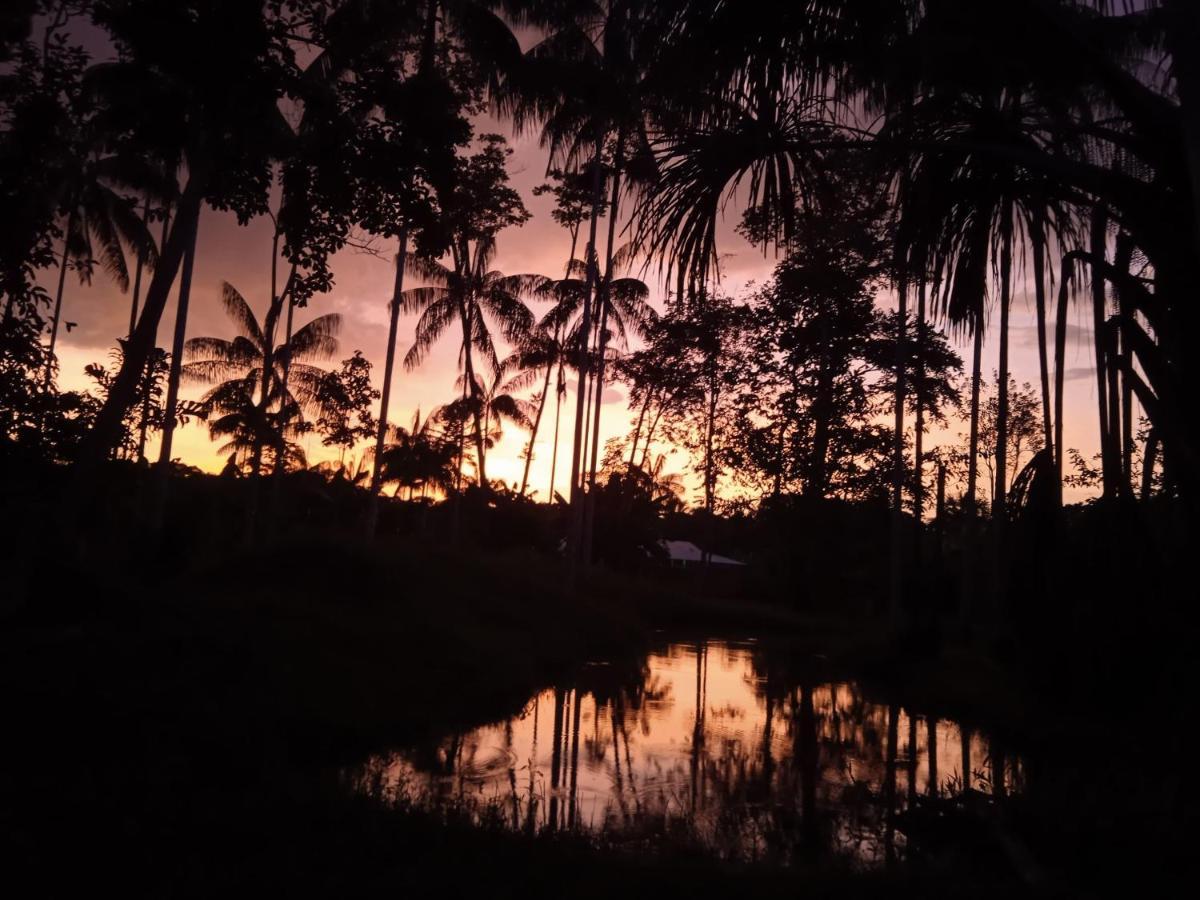 לטיסייה Hotel Karupa Amazonas מראה חיצוני תמונה